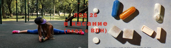 сатива Баксан