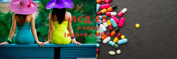 PSILOCYBIN Осташков