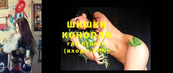 PSILOCYBIN Осташков