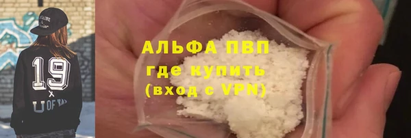 PSILOCYBIN Осташков