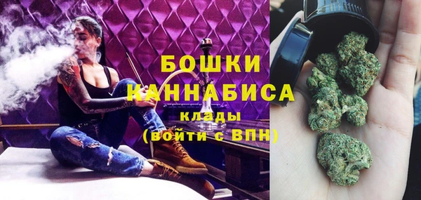 индика Пересвет