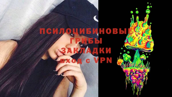 apvp Балахна