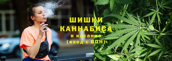 ECSTASY Белокуриха